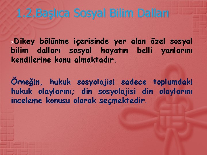 1. 2. Başlıca Sosyal Bilim Dalları Dikey bölünme içerisinde yer alan özel sosyal bilim