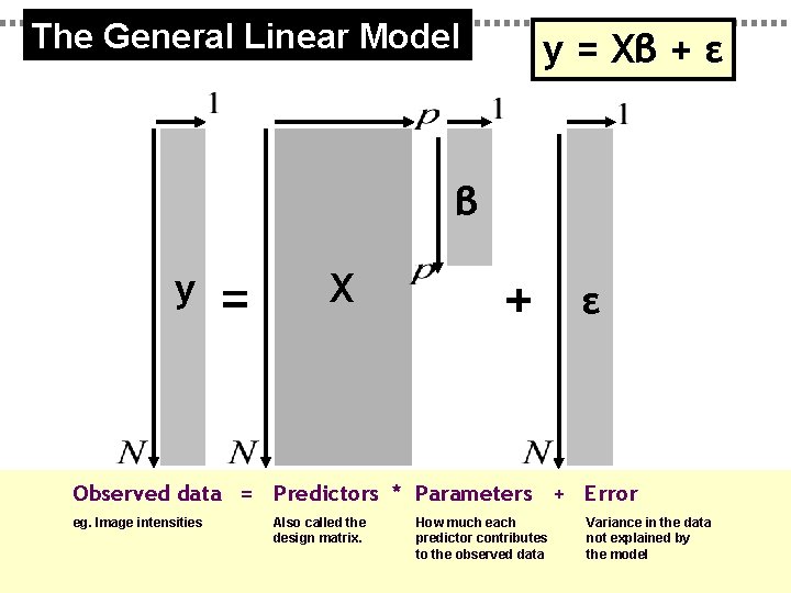 The General Linear Model y = Xβ + ε β y = X +