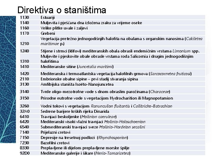 Direktiva o staništima 1130 1140 1160 1170 1210 1240 Estuariji Muljevita i pješčana dna