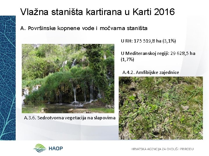 Vlažna staništa kartirana u Karti 2016 A. Površinske kopnene vode i močvarna staništa U