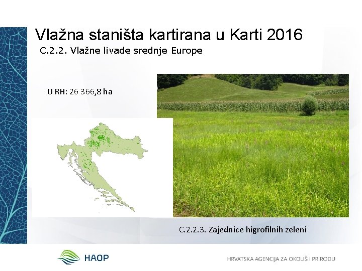 Vlažna staništa kartirana u Karti 2016 C. 2. 2. Vlažne livade srednje Europe U