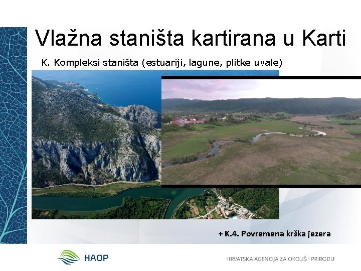 Vlažna staništa kartirana u Karti K. Kompleksi staništa (estuariji, lagune, plitke uvale) + K.