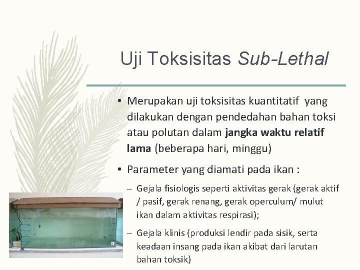 Uji Toksisitas Sub-Lethal • Merupakan uji toksisitas kuantitatif yang dilakukan dengan pendedahan bahan toksi