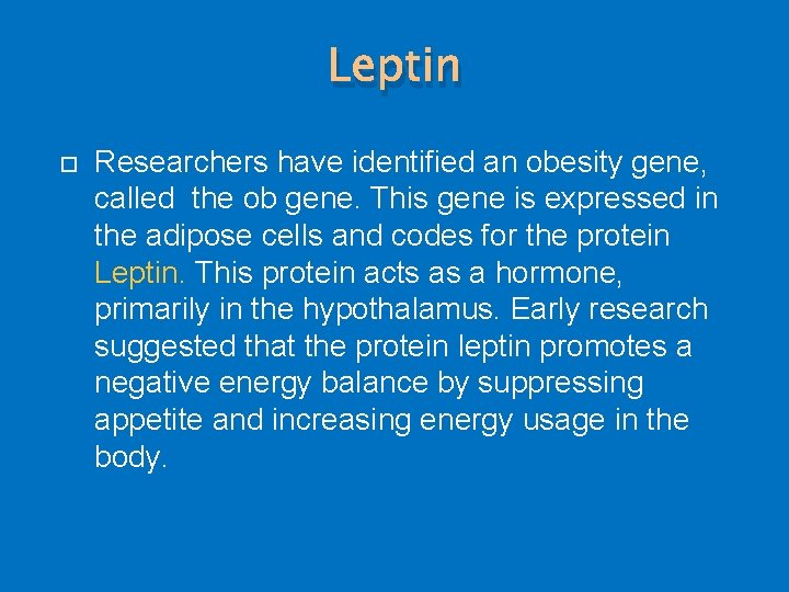 Leptin Researchers have identified an obesity gene, called the ob gene. This gene is