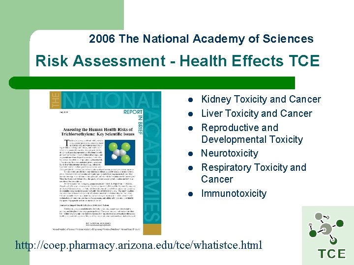 2006 The National Academy of Sciences Risk Assessment - Health Effects TCE l l