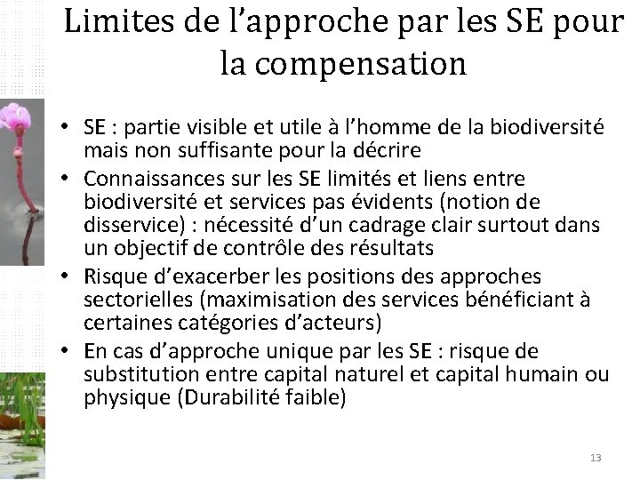 Limites de l’approche par les SE pour la compensation • SE : partie visible