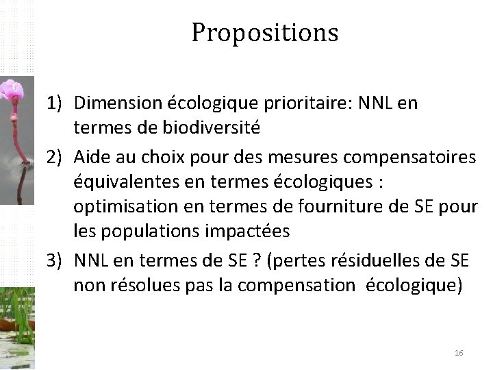 Propositions 1) Dimension écologique prioritaire: NNL en termes de biodiversité 2) Aide au choix