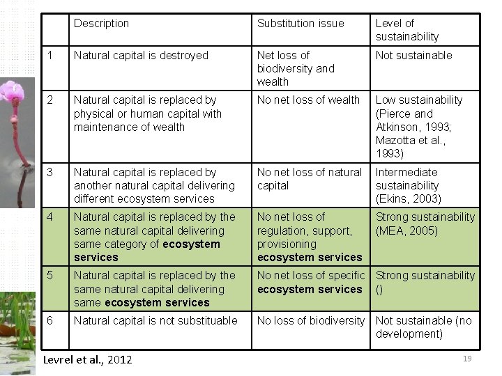 Description Substitution issue Level of sustainability 1 Natural capital is destroyed Net loss of