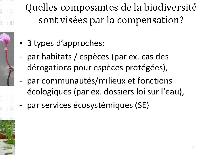 Quelles composantes de la biodiversité sont visées par la compensation? • 3 types d’approches: