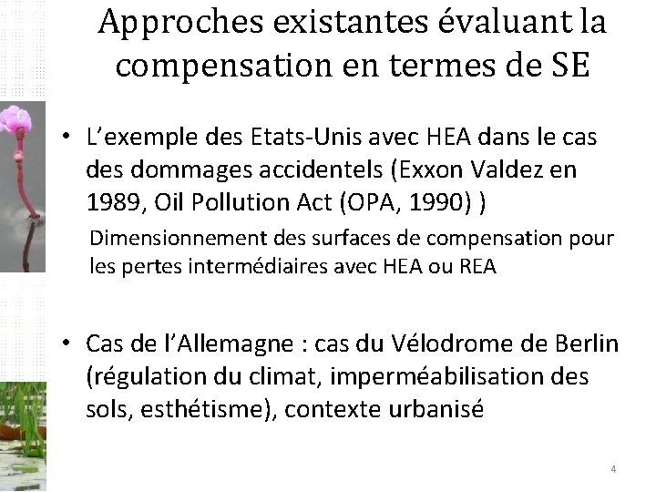 Approches existantes évaluant la compensation en termes de SE • L’exemple des Etats-Unis avec