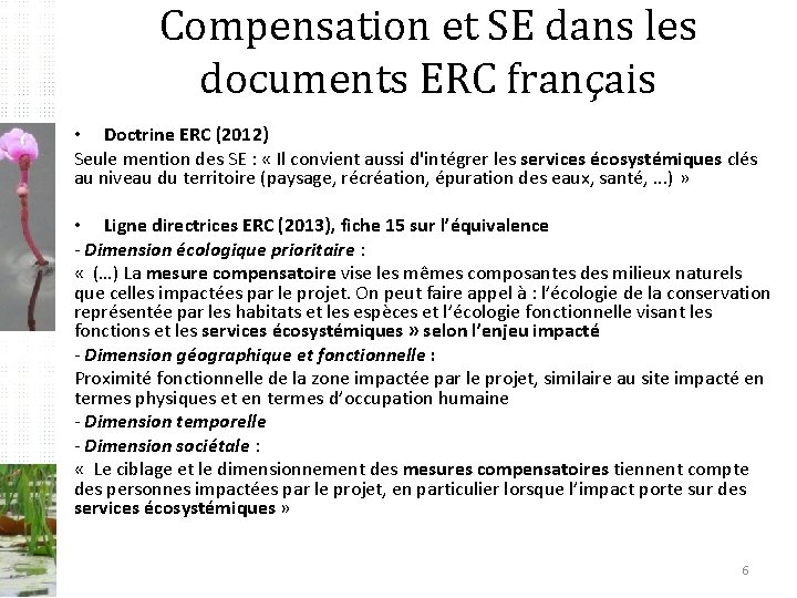 Compensation et SE dans les documents ERC français • Doctrine ERC (2012) Seule mention