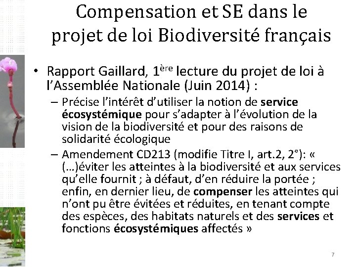 Compensation et SE dans le projet de loi Biodiversité français • Rapport Gaillard, 1ère