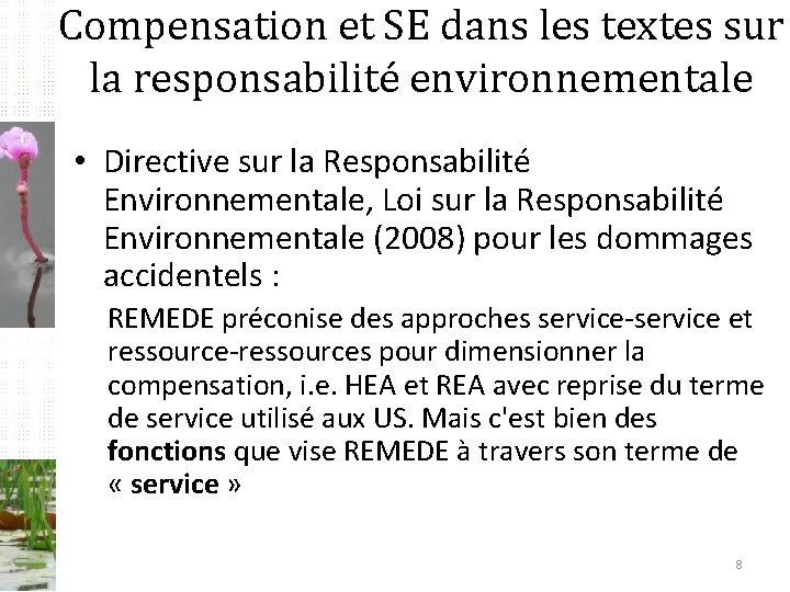 Compensation et SE dans les textes sur la responsabilité environnementale • Directive sur la