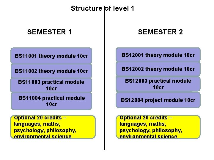 Structure of level 1 SEMESTER 2 BS 11001 theory module 10 cr BS 12001