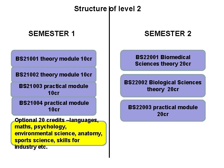 Structure of level 2 SEMESTER 1 BS 21001 theory module 10 cr SEMESTER 2