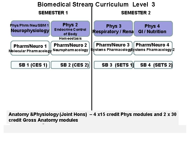  Biomedical Stream Curriculum Level 3 SEMESTER 1 Phys/Phrm/Neu/SBM 1 Phys 2 Neurophysiology Endocrine