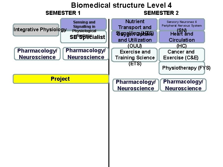  Biomedical structure Level 4 SEMESTER 1 Integrative Physiology Sensing and Signalling in Physiological