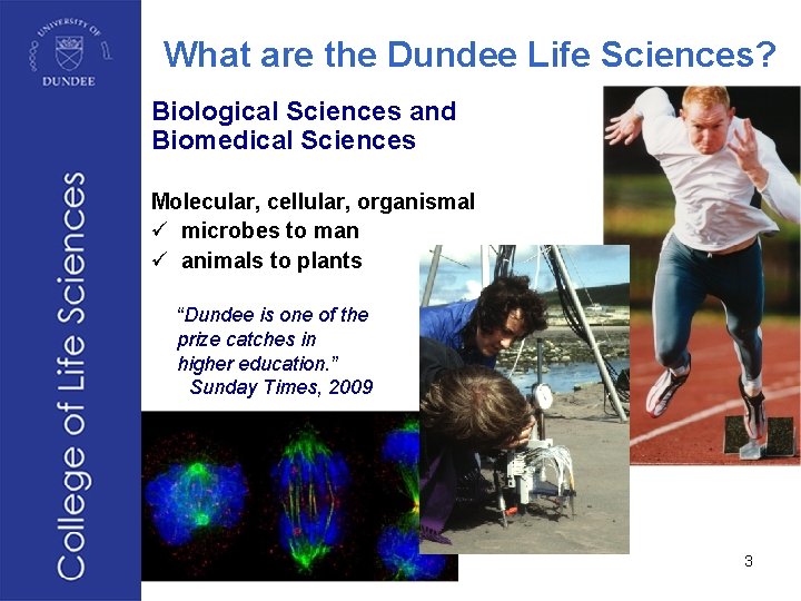 What are the Dundee Life Sciences? Biological Sciences and Biomedical Sciences Molecular, cellular, organismal