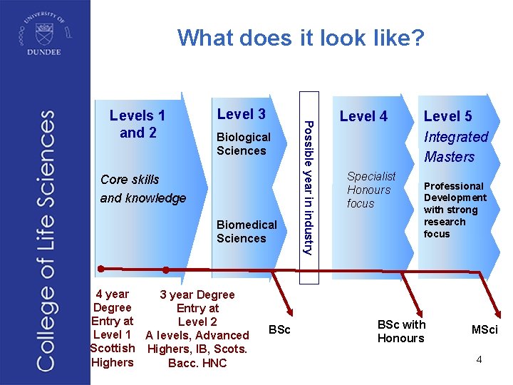 What does it look like? Level 3 Biological Sciences Core skills and knowledge Biomedical