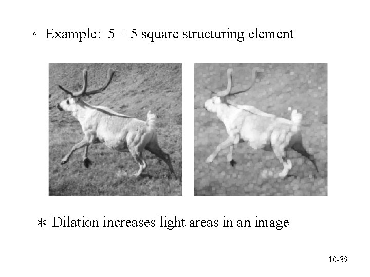 。 Example: 5 × 5 square structuring element ＊ Dilation increases light areas in