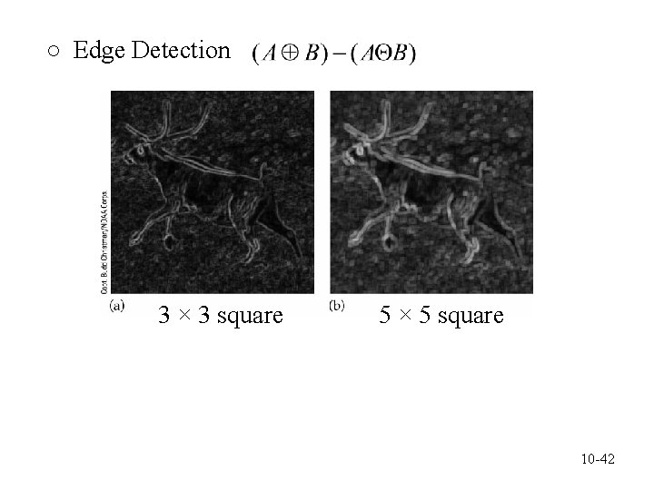 ○ Edge Detection 3 × 3 square 5 × 5 square 10 -42 