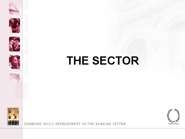 THE SECTOR 