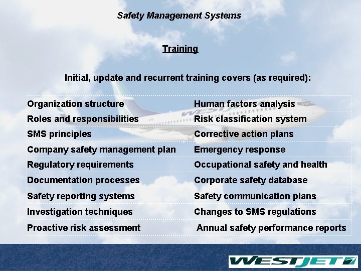 Safety Management Systems Safety Management Systems The Company
