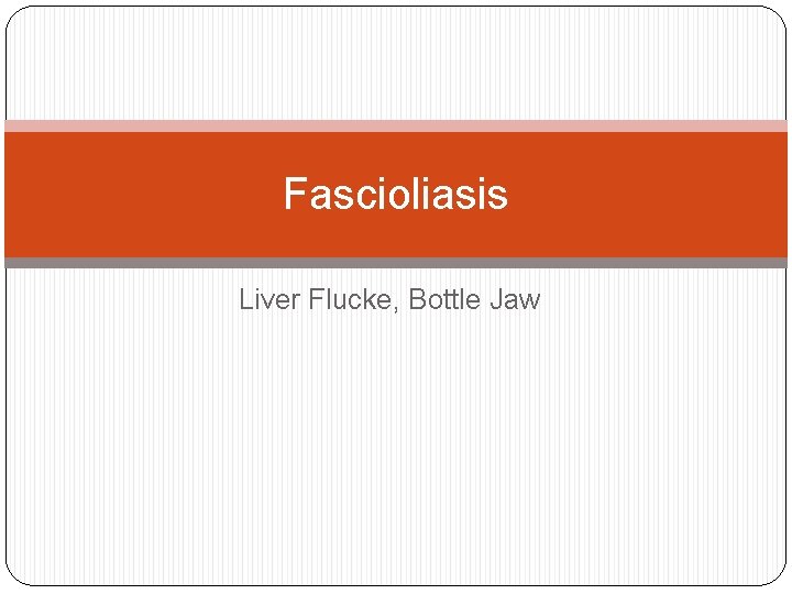 Fascioliasis Liver Flucke, Bottle Jaw 