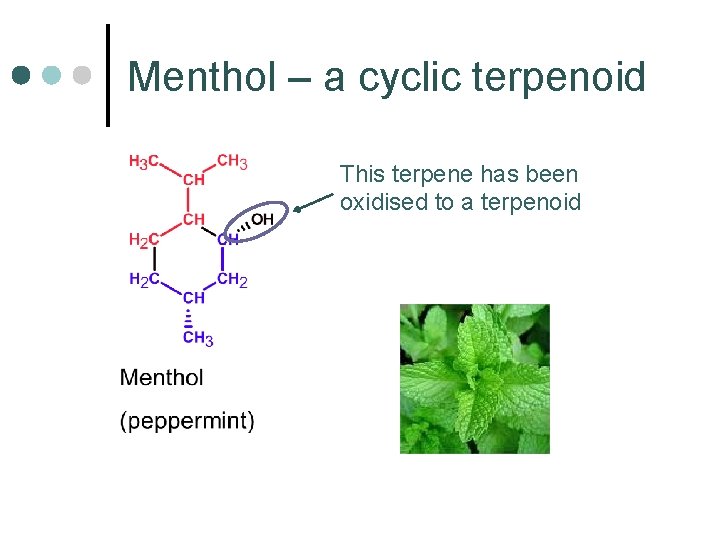 Menthol – a cyclic terpenoid This terpene has been oxidised to a terpenoid 