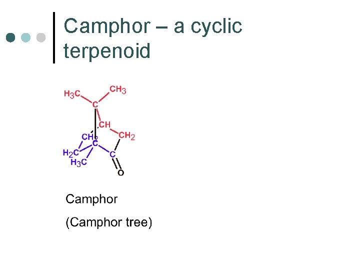 Camphor – a cyclic terpenoid 