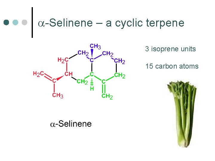 a-Selinene – a cyclic terpene 3 isoprene units 15 carbon atoms 