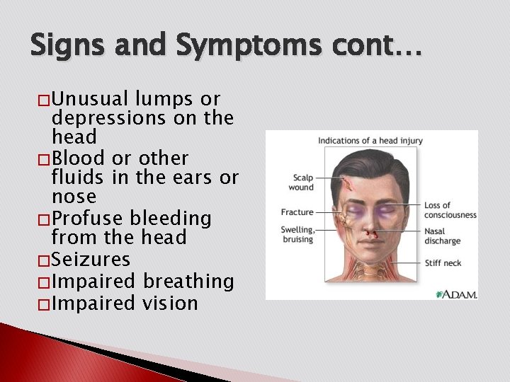 Signs and Symptoms cont… � Unusual lumps or depressions on the head � Blood