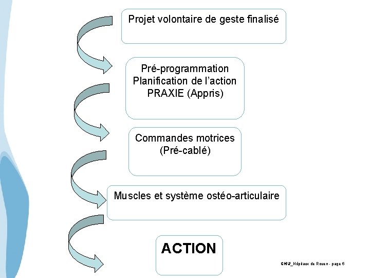 Projet volontaire de geste finalisé Pré-programmation Planification de l’action PRAXIE (Appris) Commandes motrices (Pré-cablé)