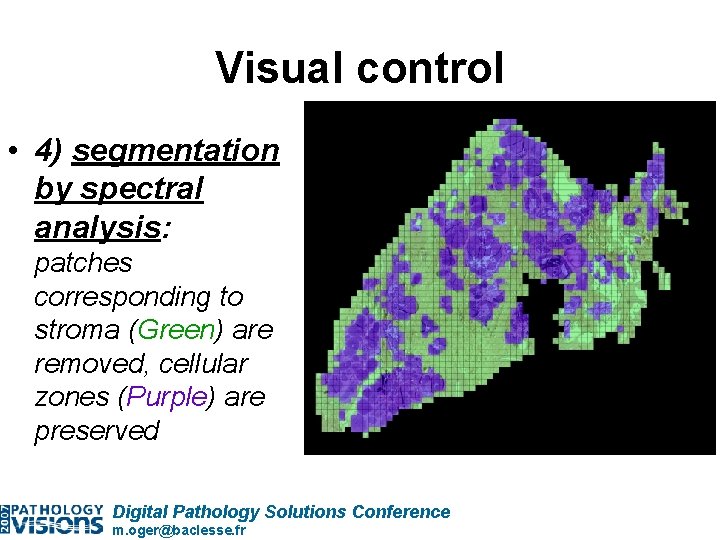 Visual control • 4) segmentation by spectral analysis: patches corresponding to stroma (Green) are