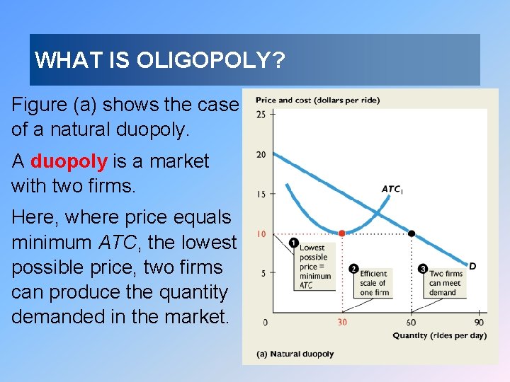 WHAT IS OLIGOPOLY? Figure (a) shows the case of a natural duopoly. A duopoly