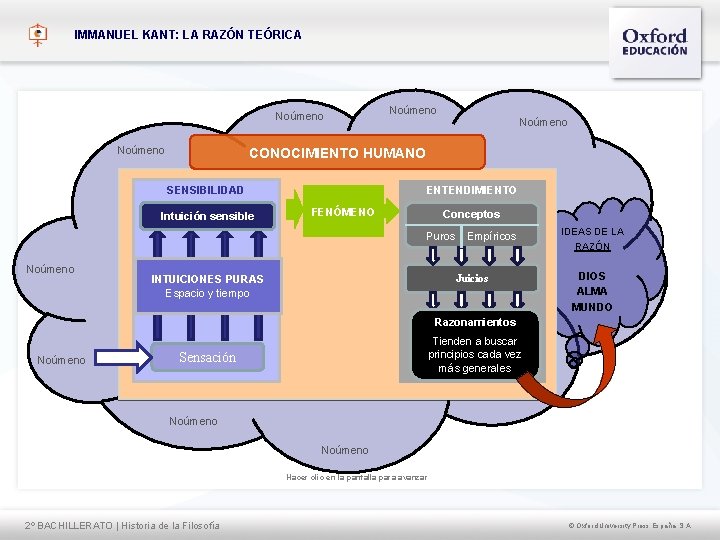 IMMANUEL KANT: LA RAZÓN TEÓRICA Noúmeno CONOCIMIENTO HUMANO SENSIBILIDAD Intuición sensible ENTENDIMIENTO FENÓMENO Conceptos