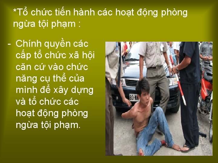 *Tổ chức tiến hành các hoạt động phòng ngừa tội phạm : - Chính