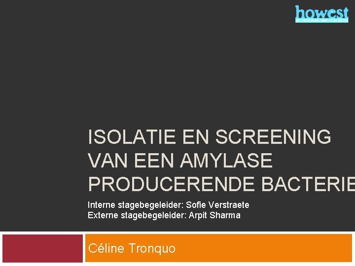 ISOLATIE EN SCREENING VAN EEN AMYLASE PRODUCERENDE BACTERIE Interne stagebegeleider: Sofie Verstraete Externe stagebegeleider: