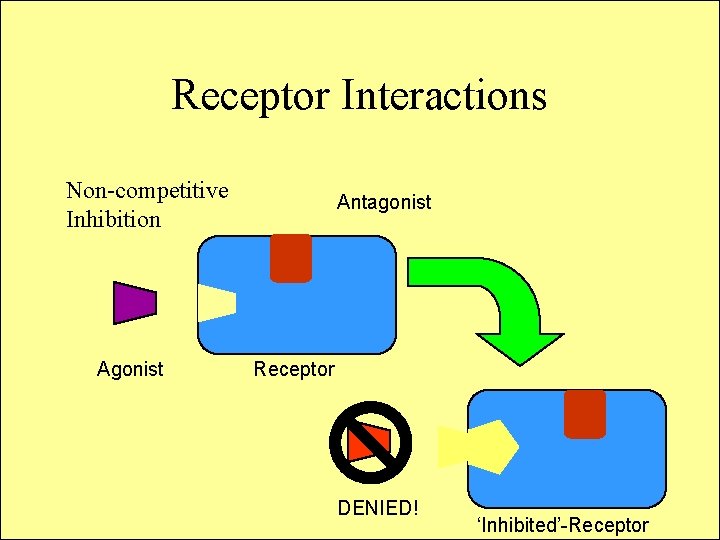 Receptor Interactions Non-competitive Inhibition Agonist Antagonist Receptor DENIED! ‘Inhibited’-Receptor 