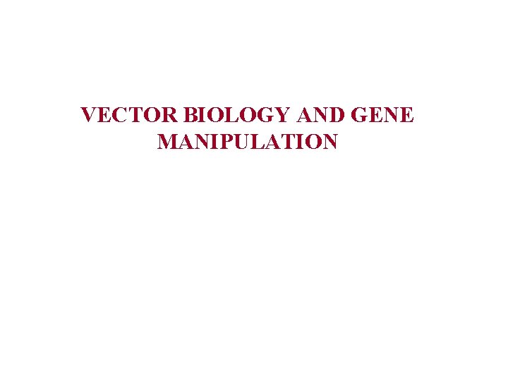 VECTOR BIOLOGY AND GENE MANIPULATION 