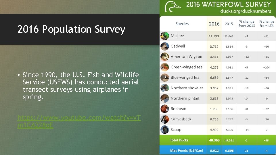 2016 Population Survey • Since 1990, the U. S. Fish and Wildlife Service (USFWS)