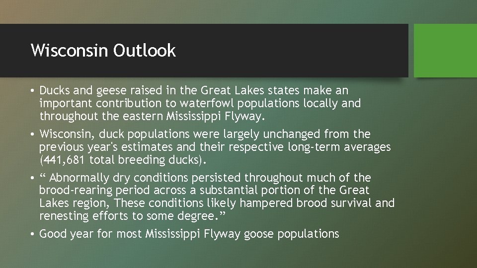 Wisconsin Outlook • Ducks and geese raised in the Great Lakes states make an