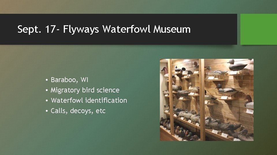 Sept. 17 - Flyways Waterfowl Museum • • Baraboo, WI Migratory bird science Waterfowl
