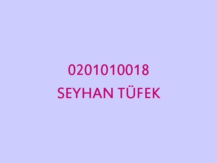 0201010018 SEYHAN TÜFEK 