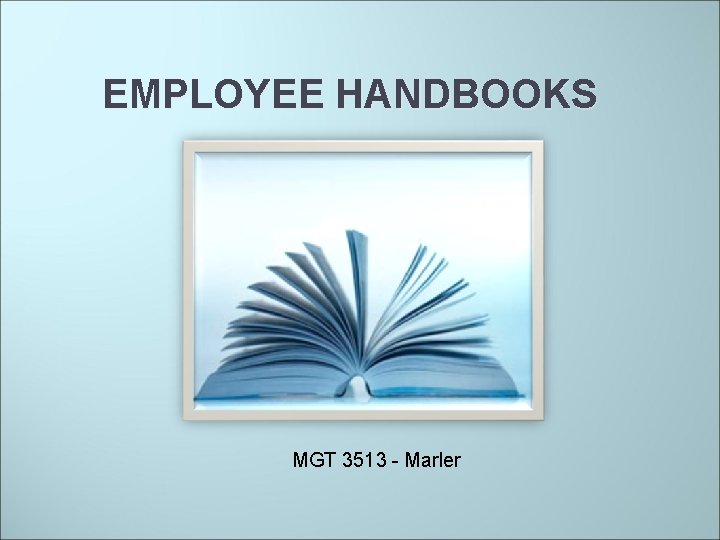  EMPLOYEE HANDBOOKS MGT 3513 - Marler 