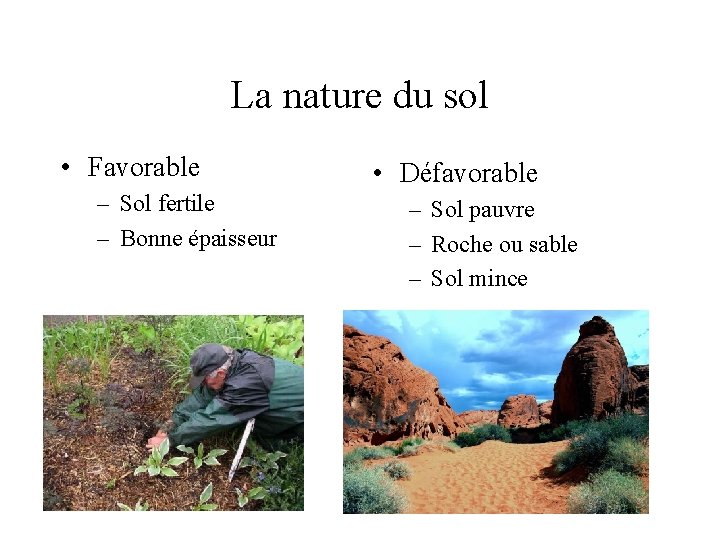 La nature du sol • Favorable – Sol fertile – Bonne épaisseur • Défavorable