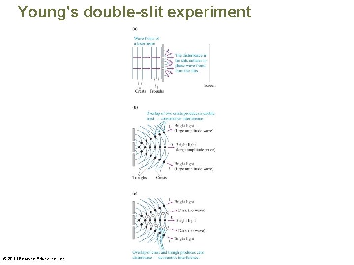 Young's double-slit experiment © 2014 Pearson Education, Inc. 