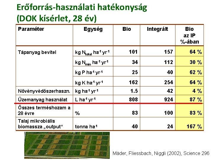 Erőforrás-használati hatékonyság (DOK kísérlet, 28 év) Paraméter Egység Bio Integrált Bio az IP %-ában