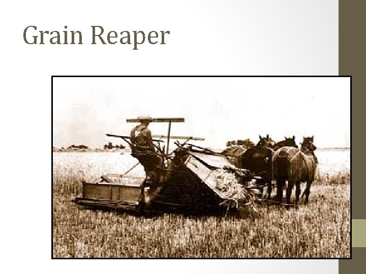 Grain Reaper Grain Reaper
