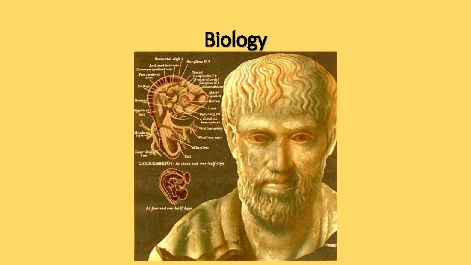 Biology 